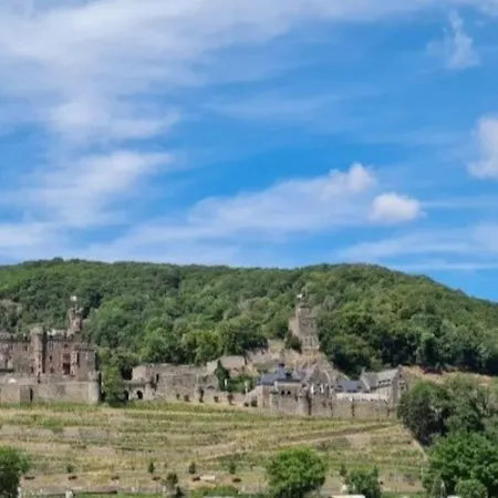 Apartament Wohnen Am Schoenen Mittelrhein Weltkulturerbe Oberwesel